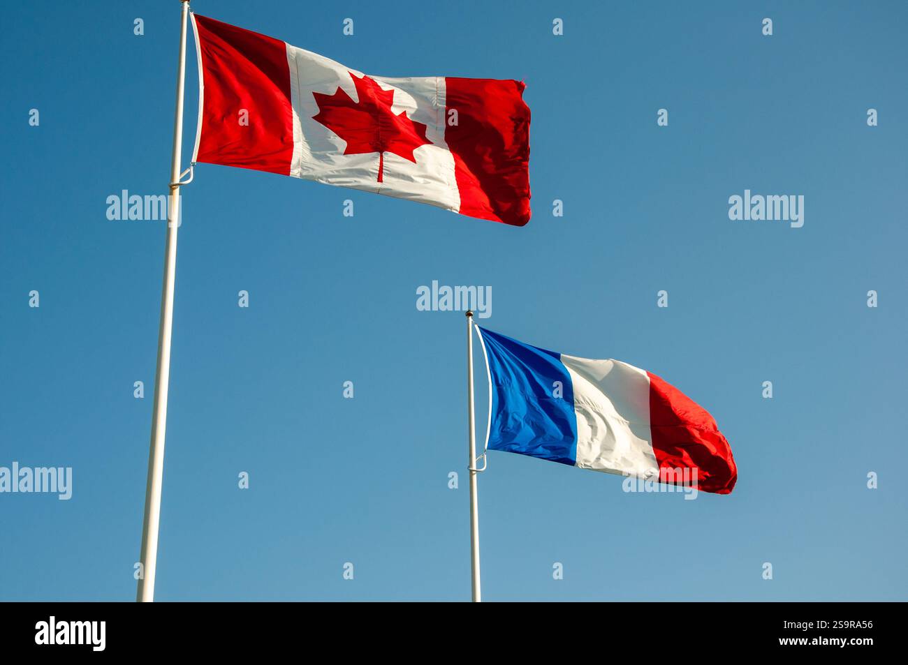 Le drapeau canadien et le drapeau français flottent haut dans un ciel bleu clair à un monument commémoratif de la première Guerre mondiale en France. Banque D'Images