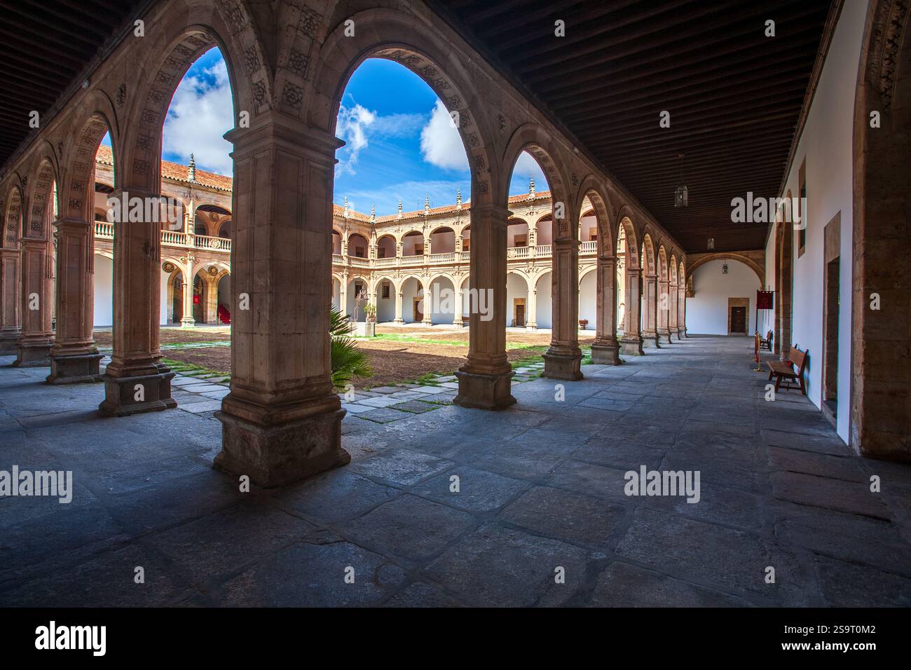 L'architecture de style Renaissance du Fonseca College à Salamanque, Castilla y Leon, Espagne. Banque D'Images