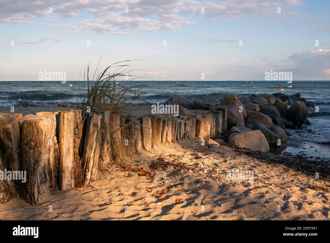 Une belle scène typique sur la mer Baltique, Allemagne. La lumière chaleureuse et magique illumine la dune et la plage. Banque D'Images