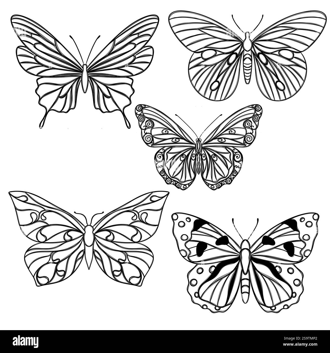 Dessin au trait papillon, mise en page pour l'impression d'illustrations sur T-shirts, blocs-notes, couvertures Banque D'Images