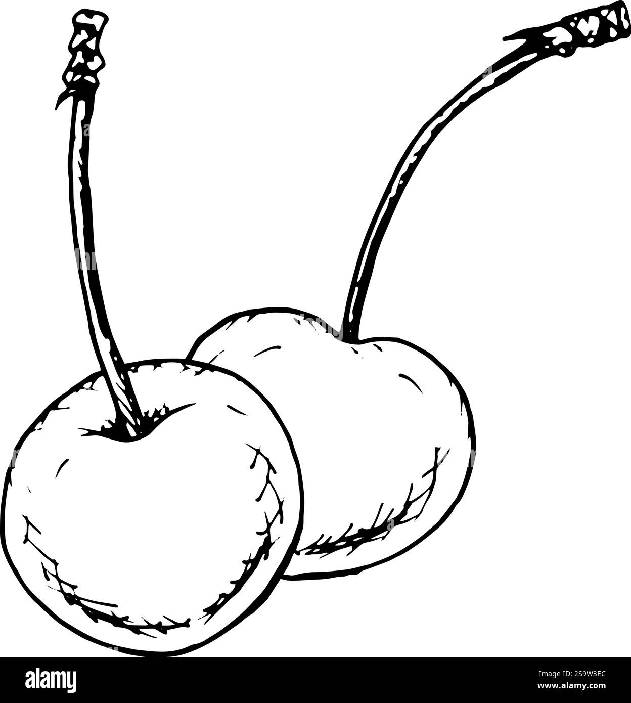 Illustration vectorielle en noir et blanc dessinée à la main d'une paire de cerises avec des tiges, créée dans le style croquis à l'encre. Idéal pour les emballages alimentaires, les livres de recettes Illustration de Vecteur