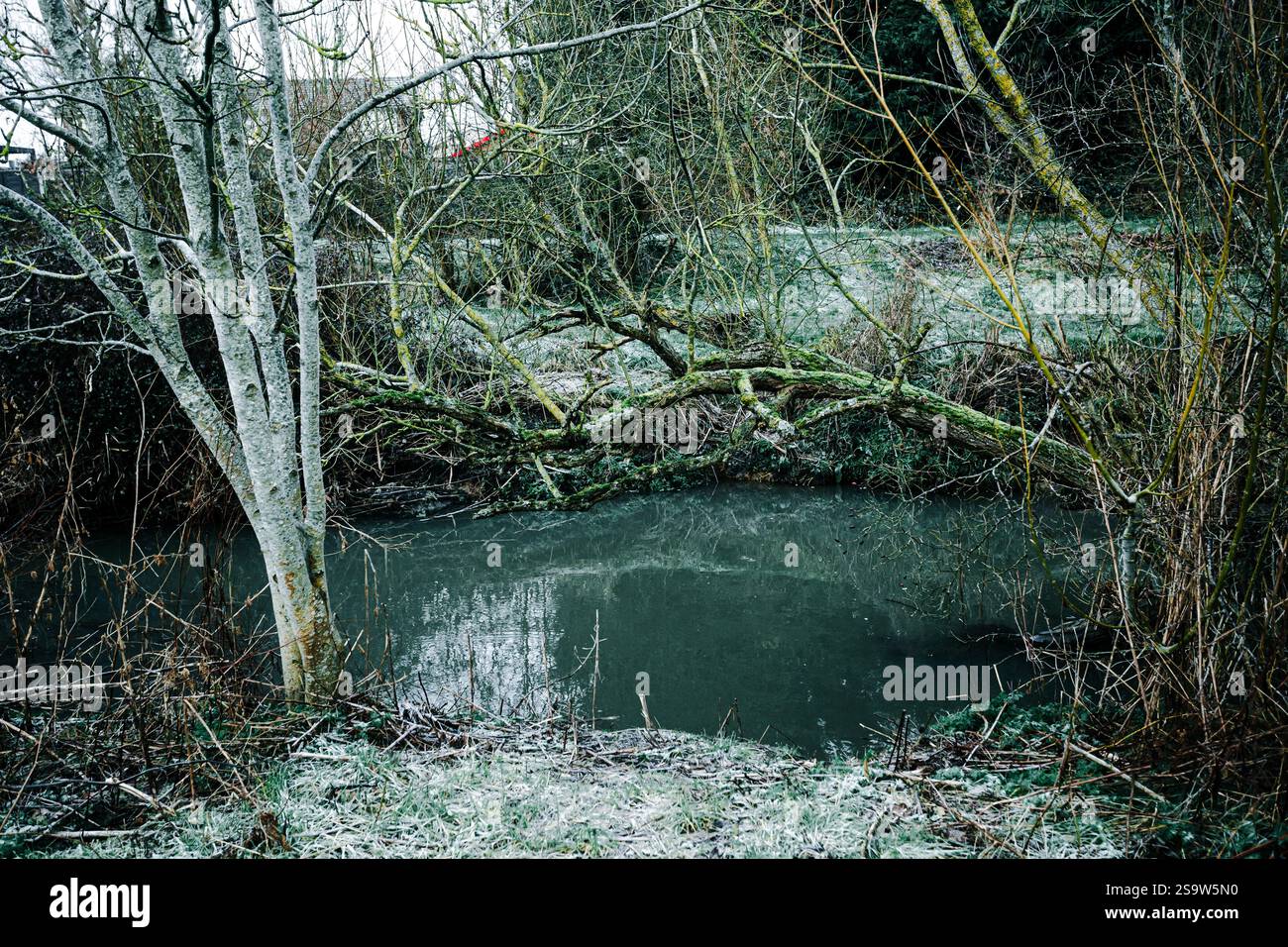 Riverbank par un matin glacial Banque D'Images