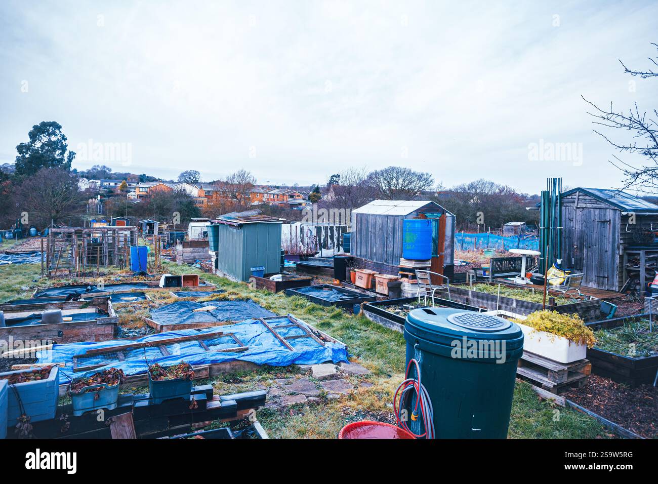Wickford Market Road allotments, Essex, Grande-Bretagne . Banque D'Images