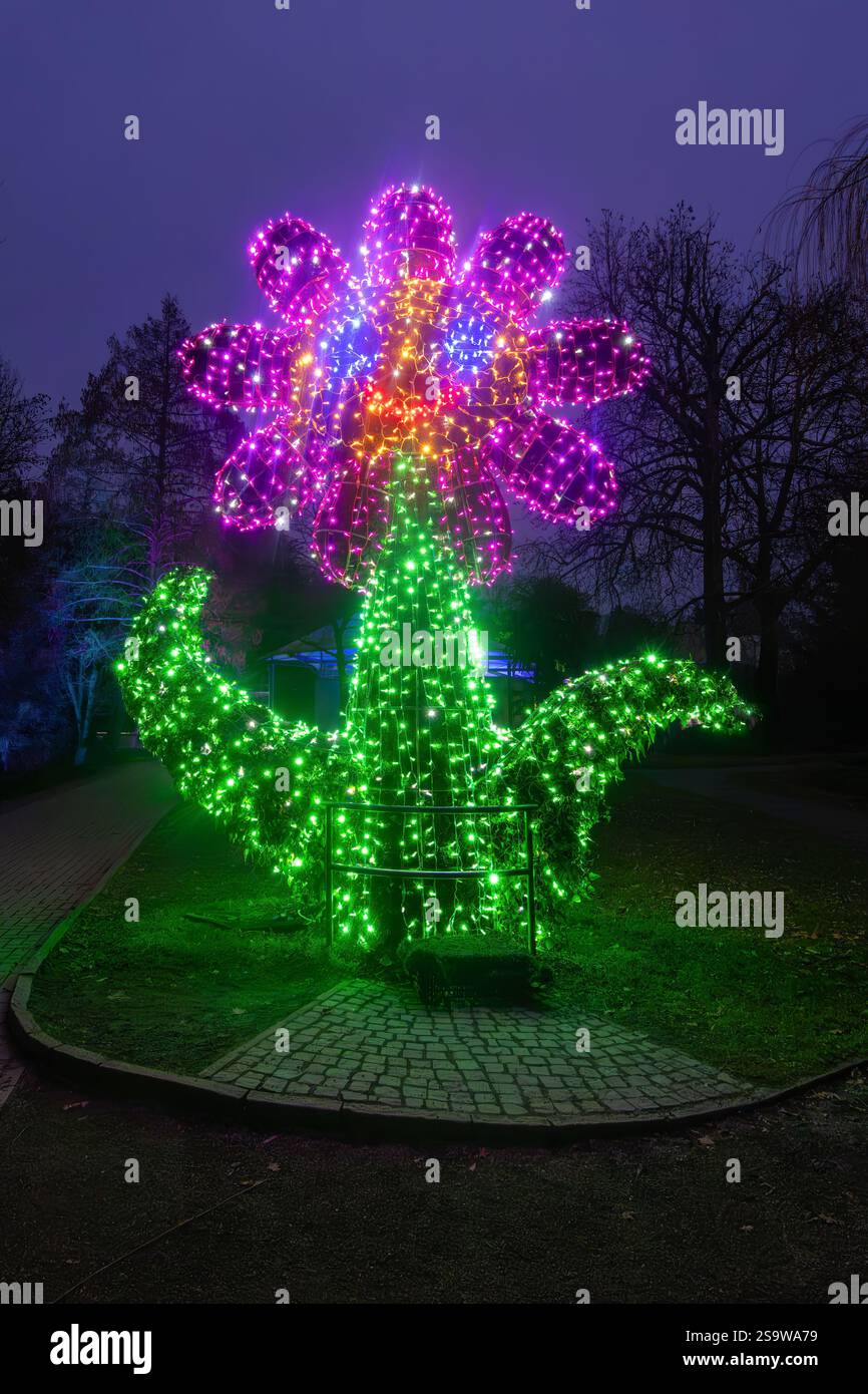 Mainau, Allemagne - 30 décembre 2024 : une grande sculpture de fleurs de Noël illuminée faite de lumières colorées, dans un parc d'Insel Mainau, Allemagne, durin Banque D'Images Mainau, Allemagne - 30 décembre 2024 : une grande sculpture de fleurs de Noël illuminée faite de lumières colorées, dans un parc d'Insel Mainau, Allemagne, durin Banque D'Images