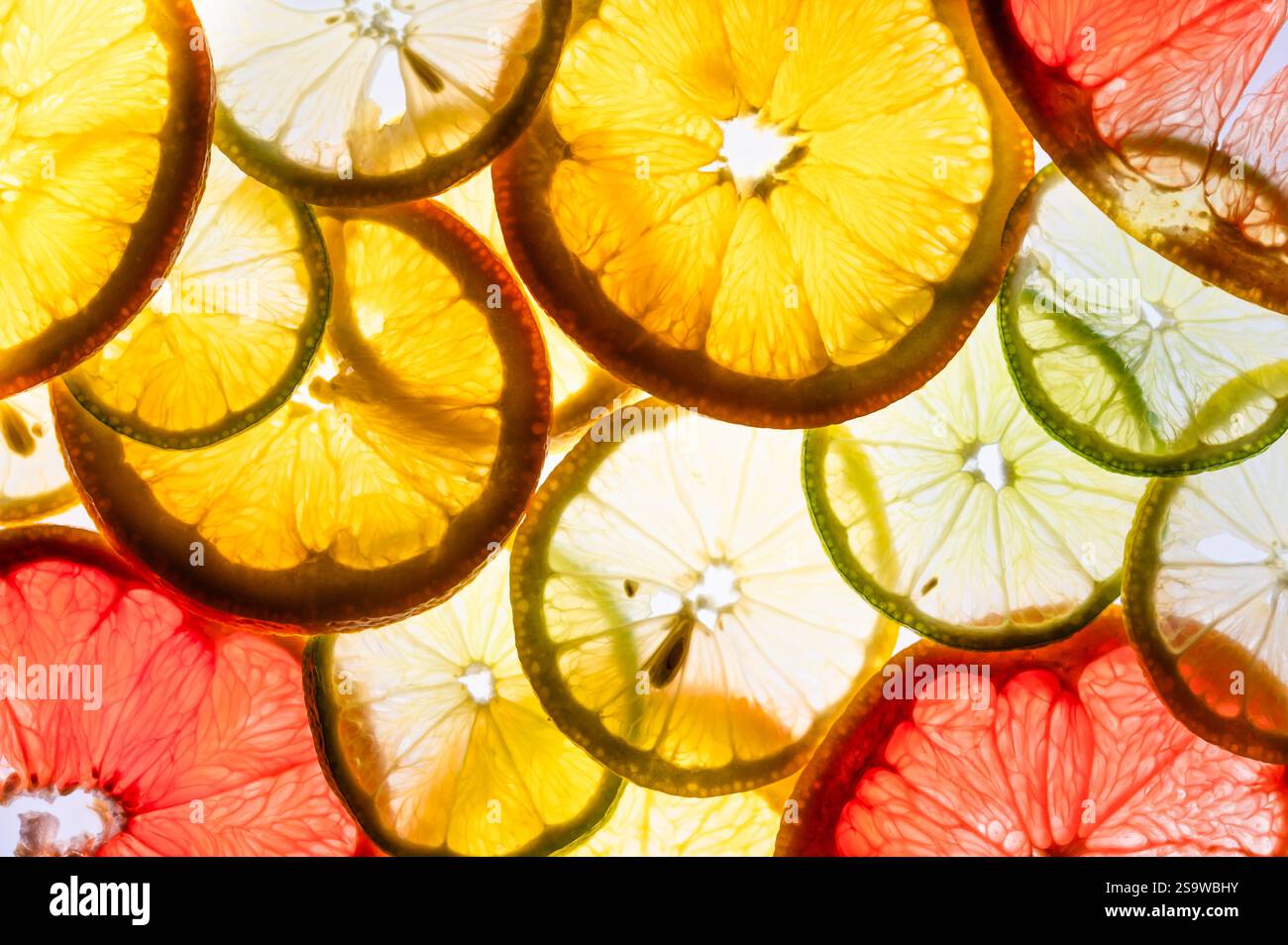 Tranches d'orange, de citron, de citron vert et de pamplemousse rétroéclairées Banque D'Images