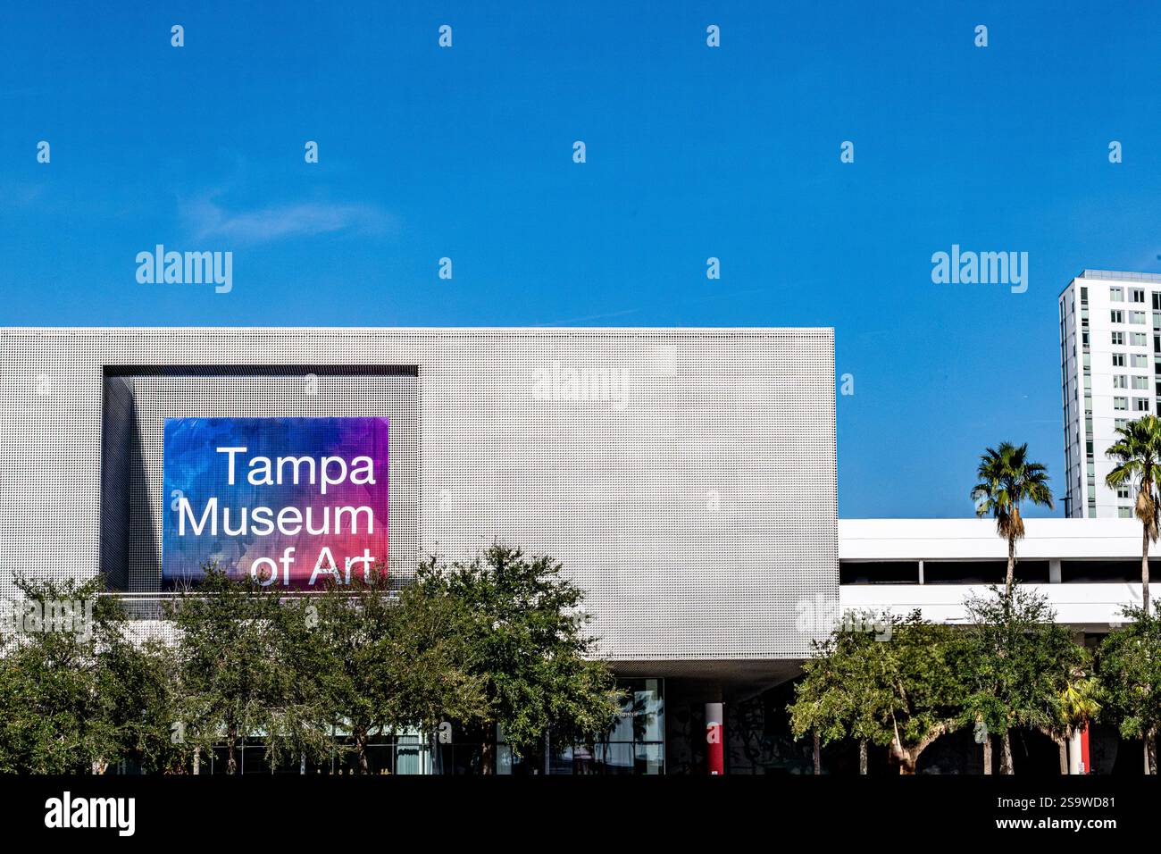 Tampa Bay Arts - Tampa Museum of Art and Art Work - Tampa FL zone de Floride avec des bâtiments et skyline sans plage Banque D'Images