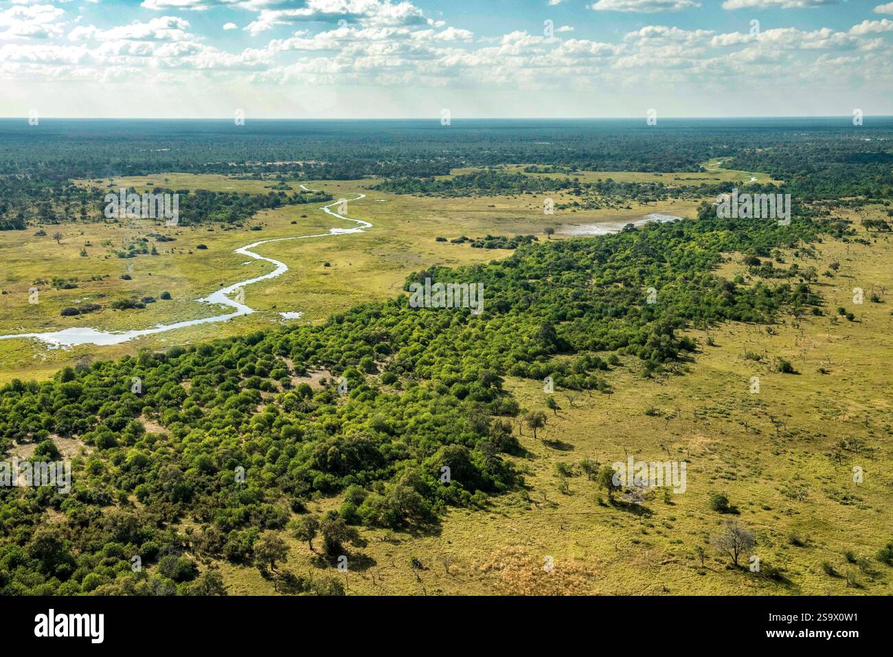 Afrique, Botswana, Delta de l'Okavango. Vue aérienne de la rivière et des arbres verdoyants sur le delta de l'Okavango. Banque D'Images