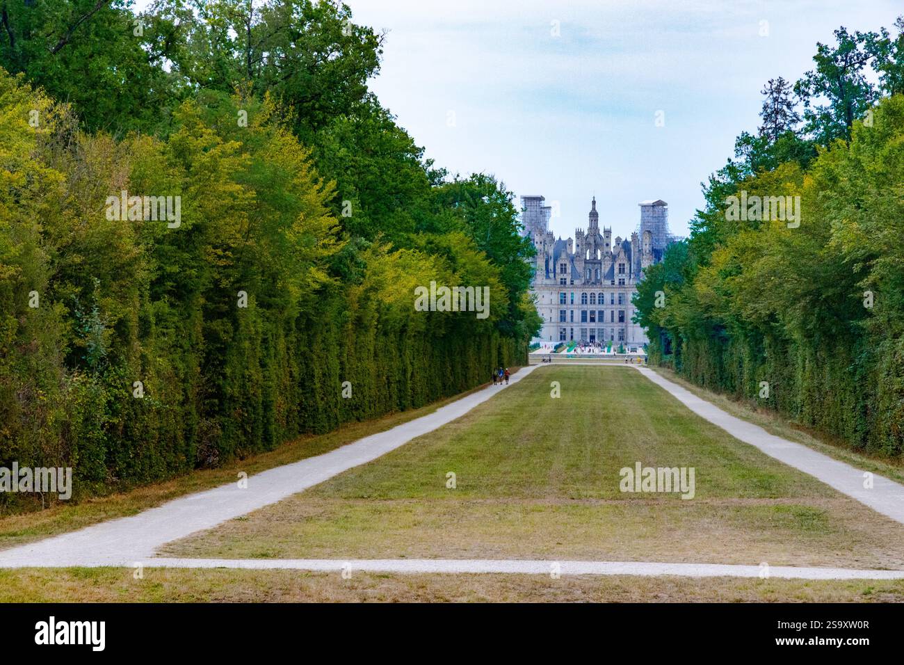 Élégante entrée boisée au Château Chambord situé dans la vallée de la Loire en France. Banque D'Images