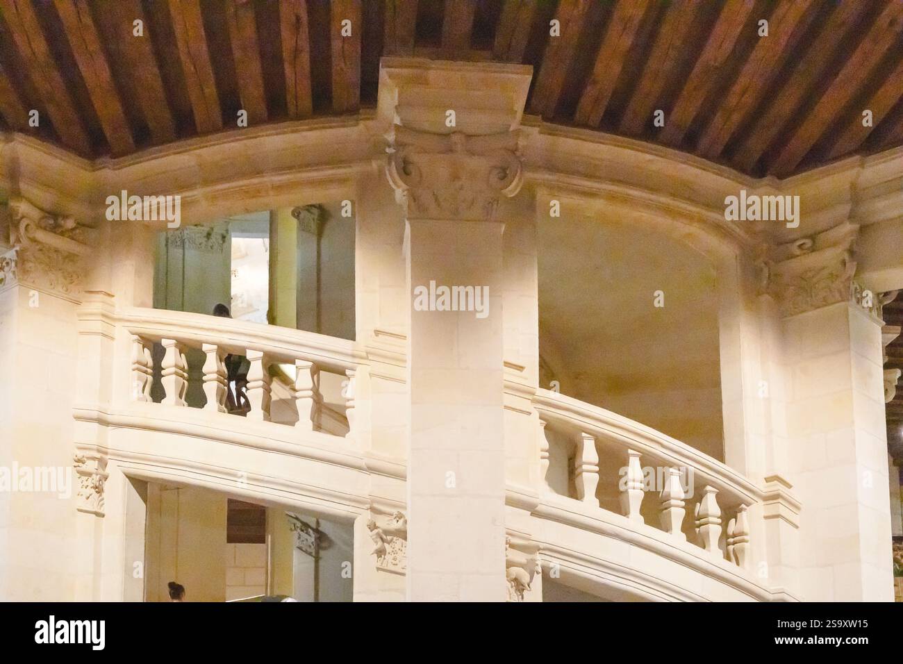 Section de l'escalier à double hélice de Léonard de Vinci au Château Chambord dans la vallée de la Loire en France. Banque D'Images