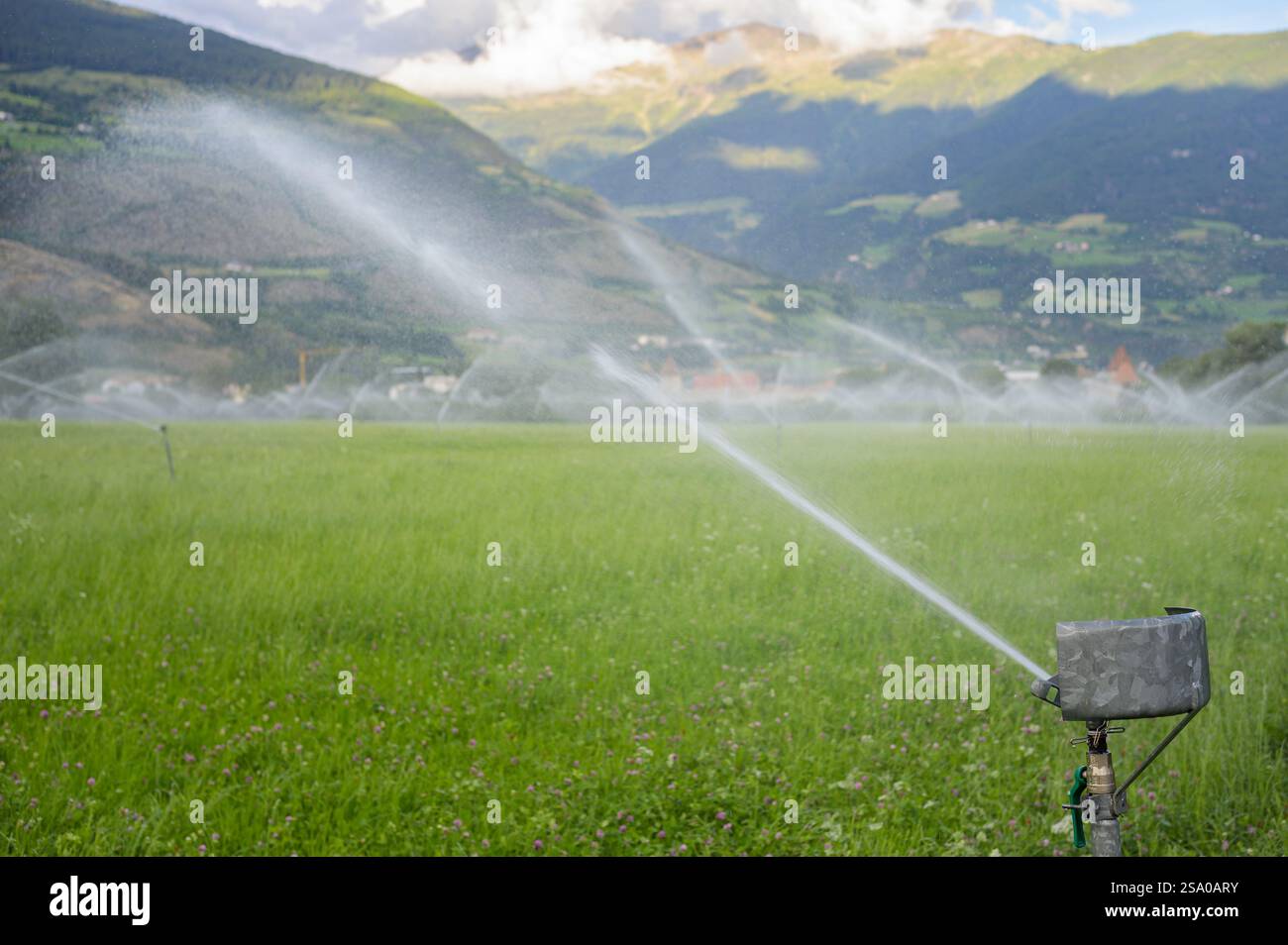 Irrigation des prairies dans le Tyrol du Sud près de Laatsch (Italie), jour nuageux en été Banque D'Images