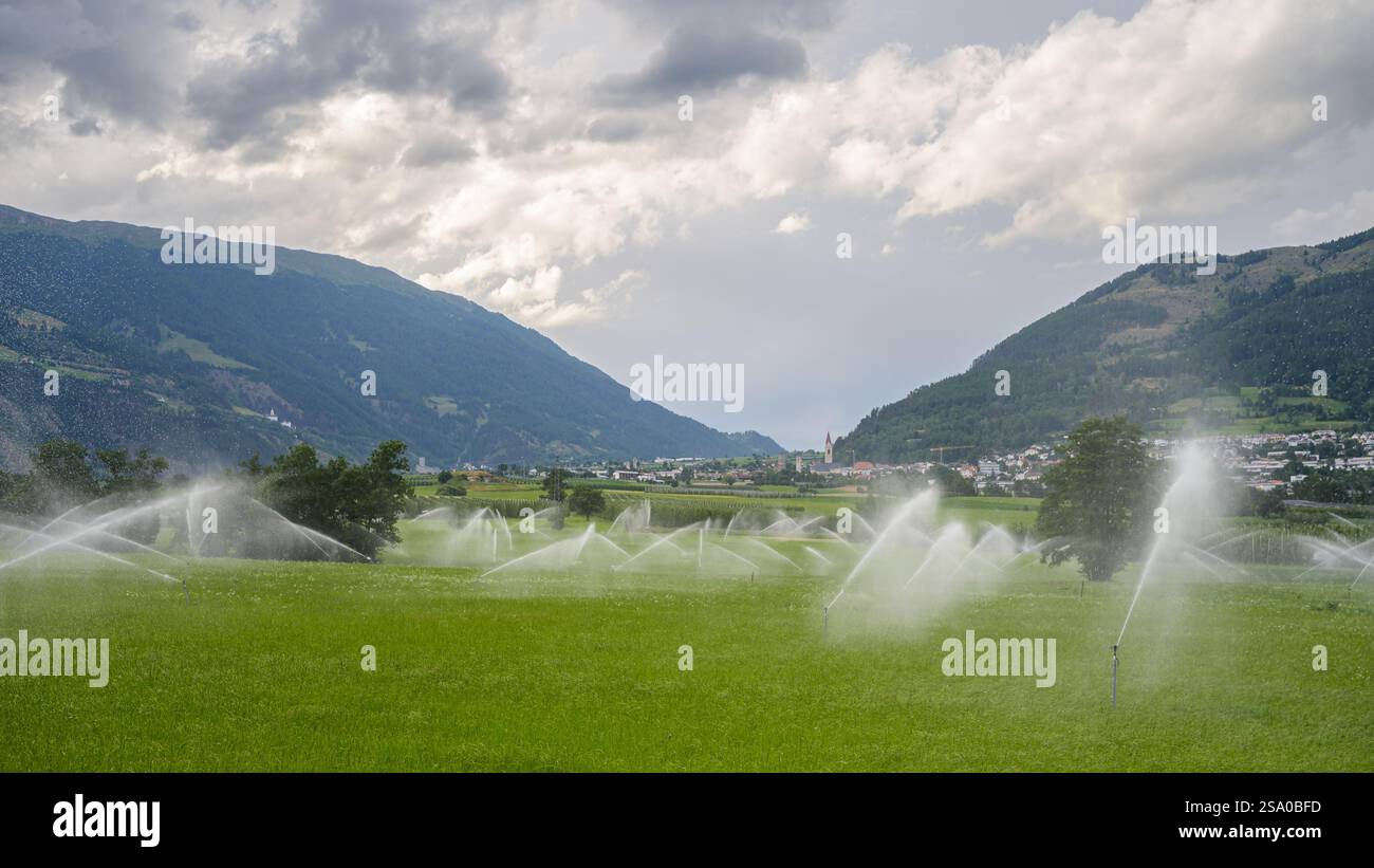 Irrigation des prairies dans le Tyrol du Sud près de Laatsch (Italie), jour nuageux en été Banque D'Images