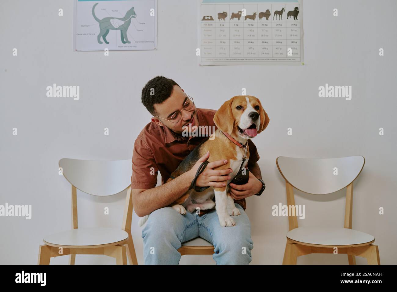 Jeune homme souriant tout en tenant un beagle sur ses genoux, assis sur une chaise devant un mur blanc avec des affiches éducatives suspendues derrière eux Banque D'Images
