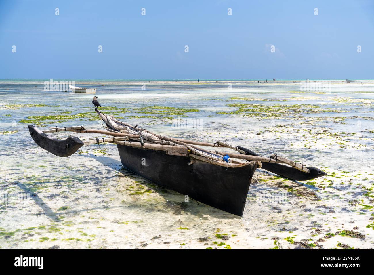 Zanzibar : boutre de pêche à marée basse. Banque D'Images