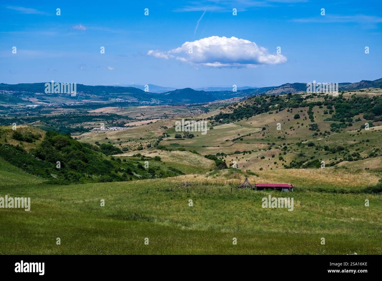 Paysage agricole de Sardaigne avec collines boisées, champs et pâturages. Banque D'Images
