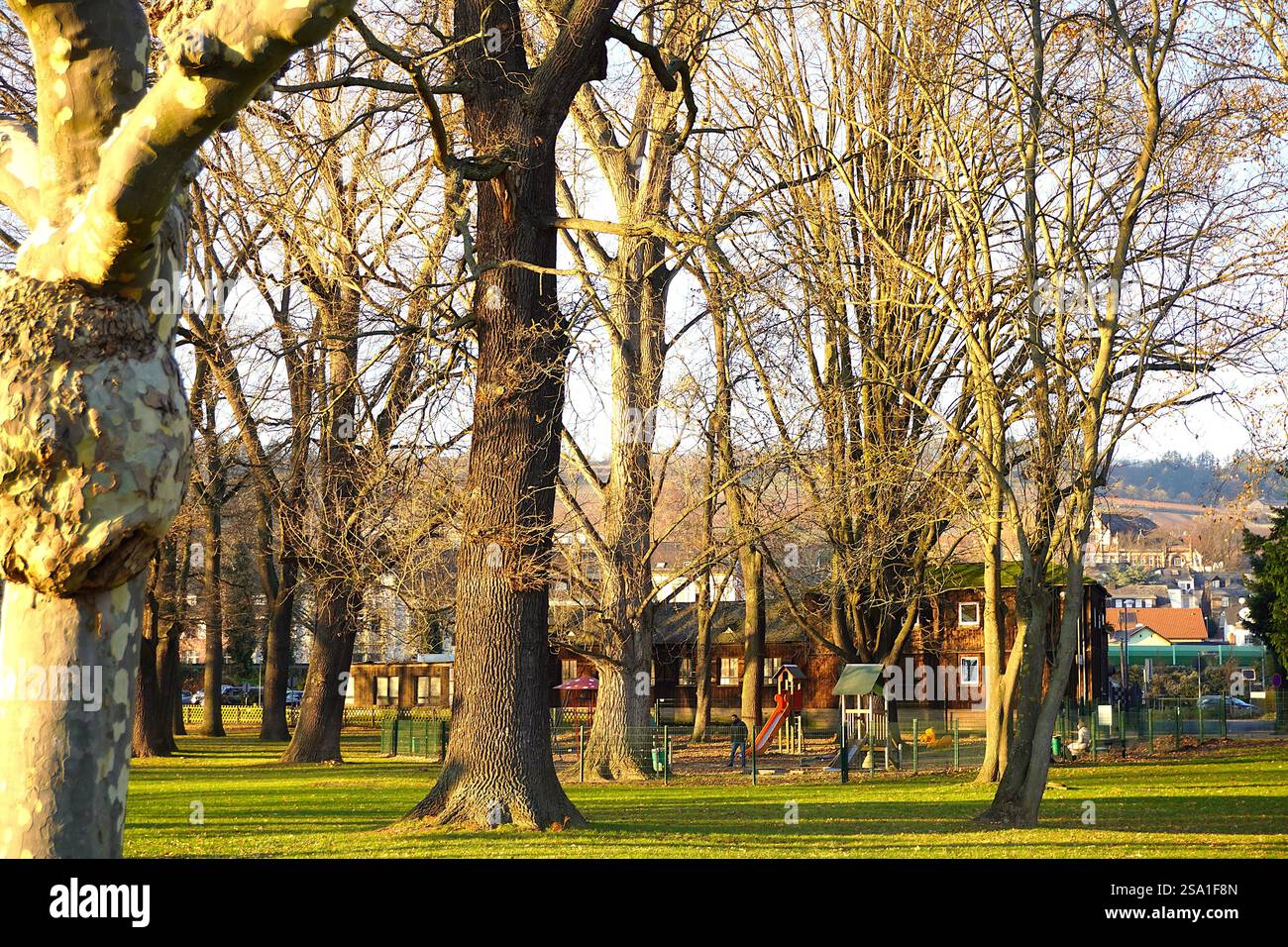 Vibes paisibles dans un charmant parc Rüdesheim. Banque D'Images