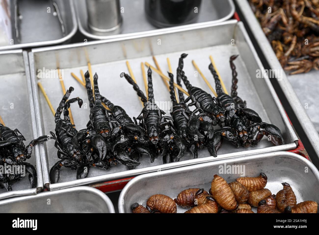 Scorpions frits et larves de charançons de palmier à un étal sur le marché sur Khaosan Road, Bang Lamphu, Bangkok, Thaïlande, Asie Banque D'Images