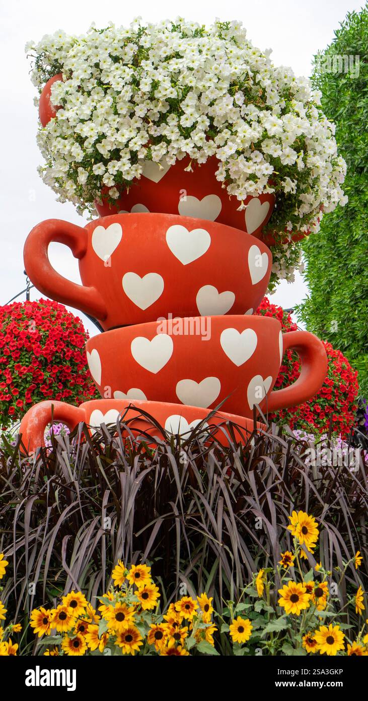 Composition décorative sous la forme de tasses à thé avec motif de coeurs avec des pétunias de fleurs blanches vivantes dans le jardin miracle à Dubaï, Émirats arabes Unis Banque D'Images