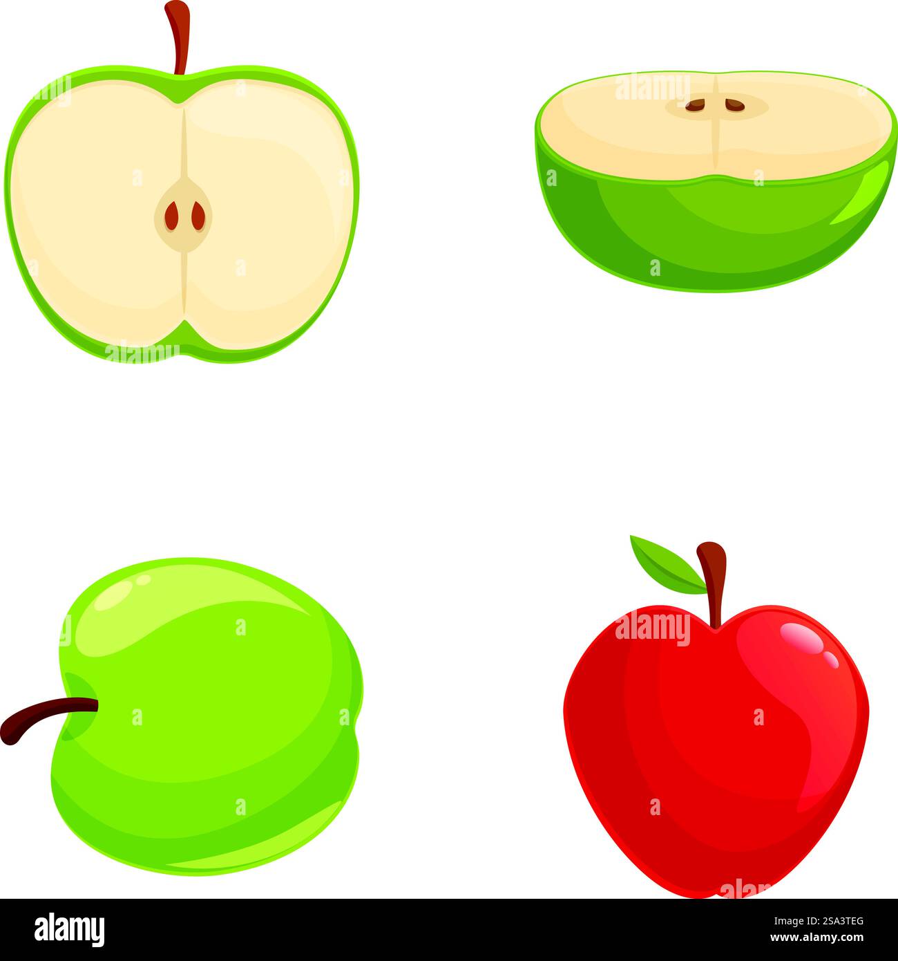 Illustrations de pommes vibrantes et colorées ensemble avec des pommes rouges et vertes entières, coupées en deux, tranchées et coupées en coupe transversale, parfaites pour une alimentation saine, une nutrition et des concepts vitaminiques. Ensemble de quatre illustrations vectorielles représentant des pommes entières et coupées en deux Illustration de Vecteur