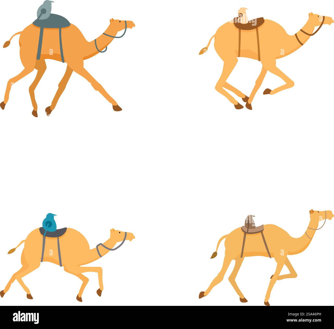 Quatre illustrations vectorielles de chameaux de dessins animés avec des selles, représentées dans différentes poses. Ensemble de chameaux de dessin animé dans diverses poses Illustration de Vecteur