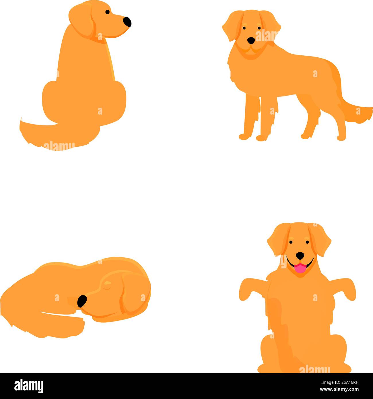 Collection de jolis Golden retrievers de dessin animé dans différentes positions et expressions. Dessins animés Golden retrievers dans diverses poses Illustration de Vecteur