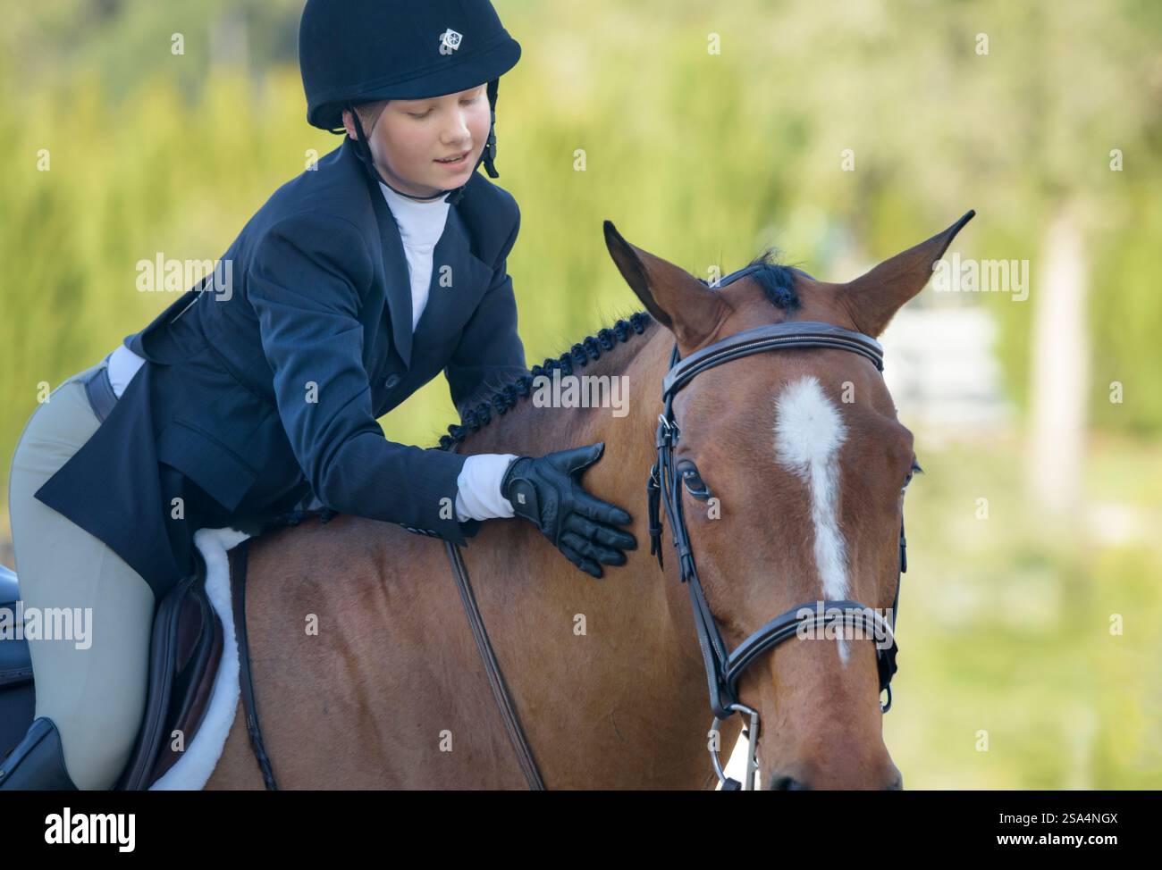 Jeune cavalier féminin tapote son partenaire de cheval dans la compétition de saut d'obstacles Banque D'Images