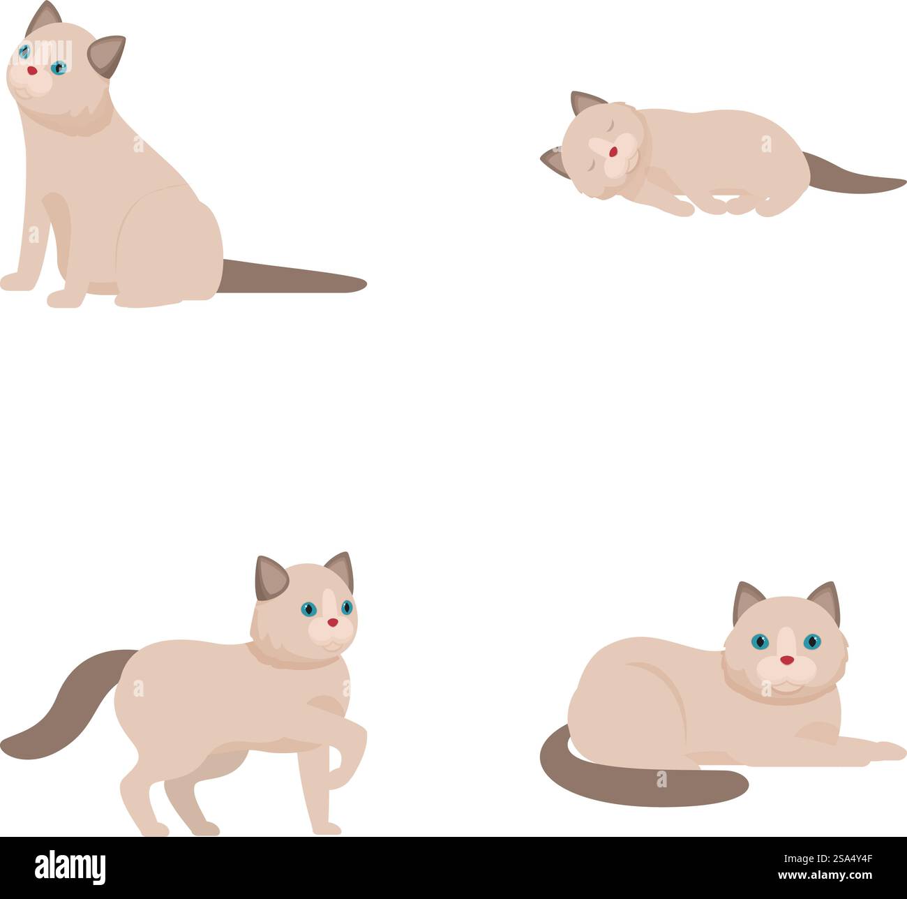 Collection d'illustrations de chats siamois, présentant différentes poses et expressions. Ensemble de chats siamois de dessin animé mignons dans diverses poses Illustration de Vecteur