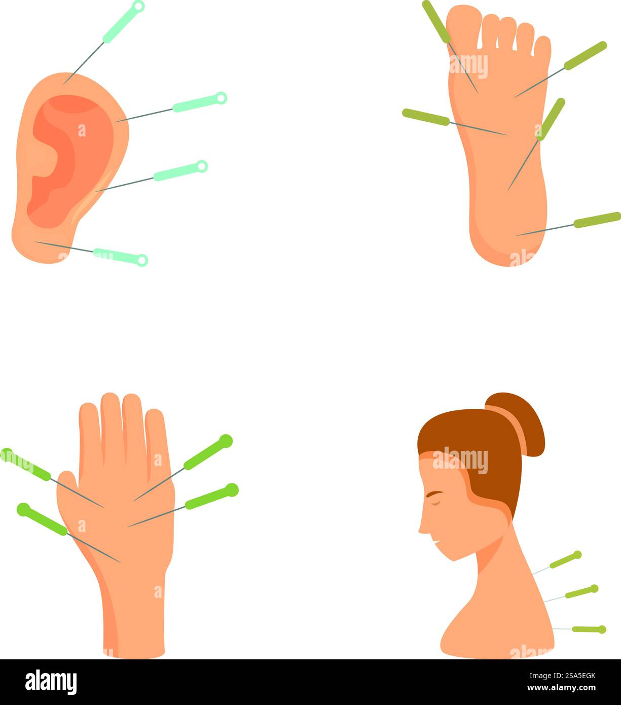 Collection d'illustrations vectorielles isolées représentant des points d'acupuncture sur des parties du corps. Ensemble d'illustrations de points de thérapie par acupuncture Illustration de Vecteur