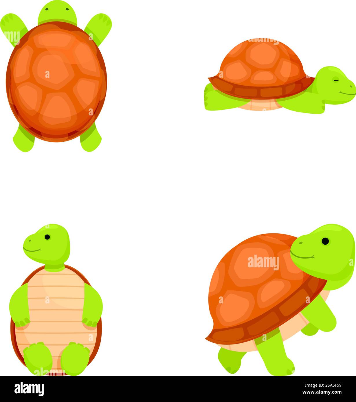 Collection de jolies illustrations de tortues de dessin animé dans diverses poses et expressions, parfait pour les livres éducatifs Children&rsquo ; s et les conceptions sur le thème de l'environnement. Collection de quatre tortues de dessin animé adorables et colorées dans diverses positions Illustration de Vecteur