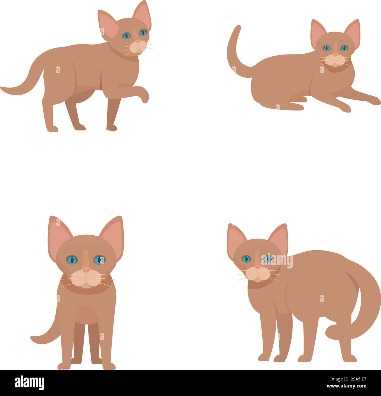 Quatre charmantes illustrations d'un chat sphynx présentant différentes positions et expressions. Ensemble de chats de dessin animé mignons sphynx dans diverses poses Illustration de Vecteur