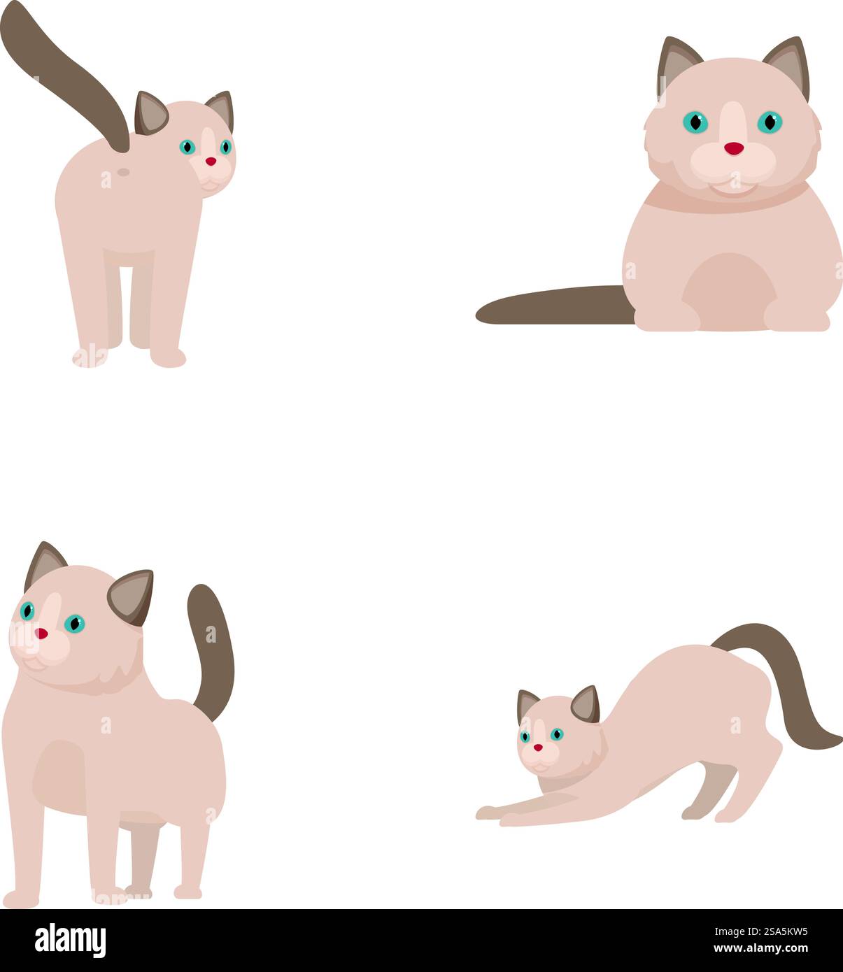 Illustration de quatre chats siamois présentant différentes postures et expressions sur fond blanc. Ensemble de chats siamois de dessin animé mignons dans diverses poses Illustration de Vecteur