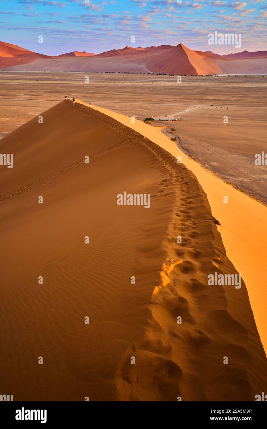 Crête de Dune 45 avec des pas sur le dessus dans la lumière tôt le matin, Sossusvlei, Parc National, Namibie, Afrique Banque D'Images