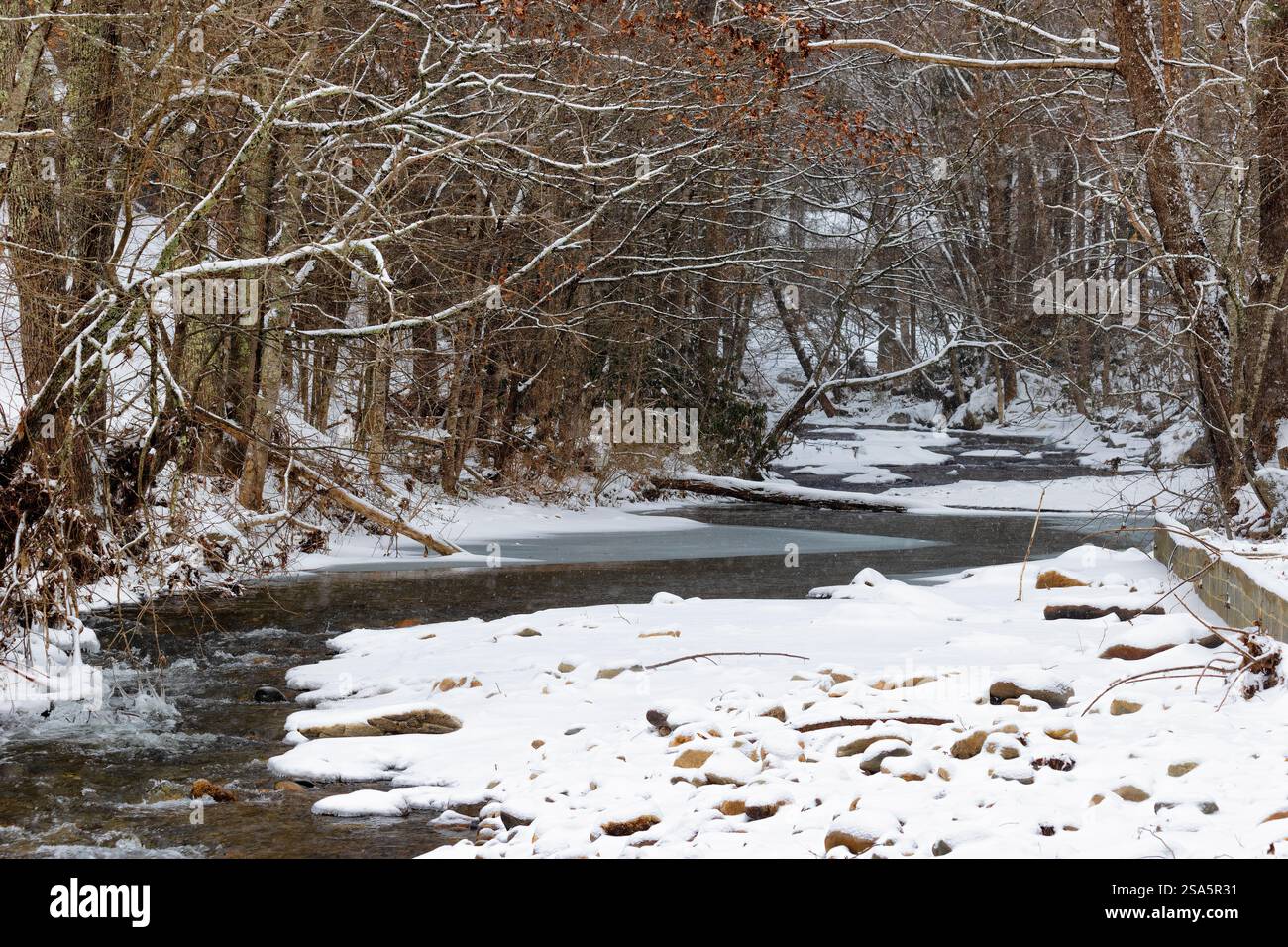 Paysage hivernal le long de la rivière Doe qui traverse le parc national de Roan Mountain dans la chaîne de montagnes Blue Ridge dans le Tennessee, États-Unis Banque D'Images
