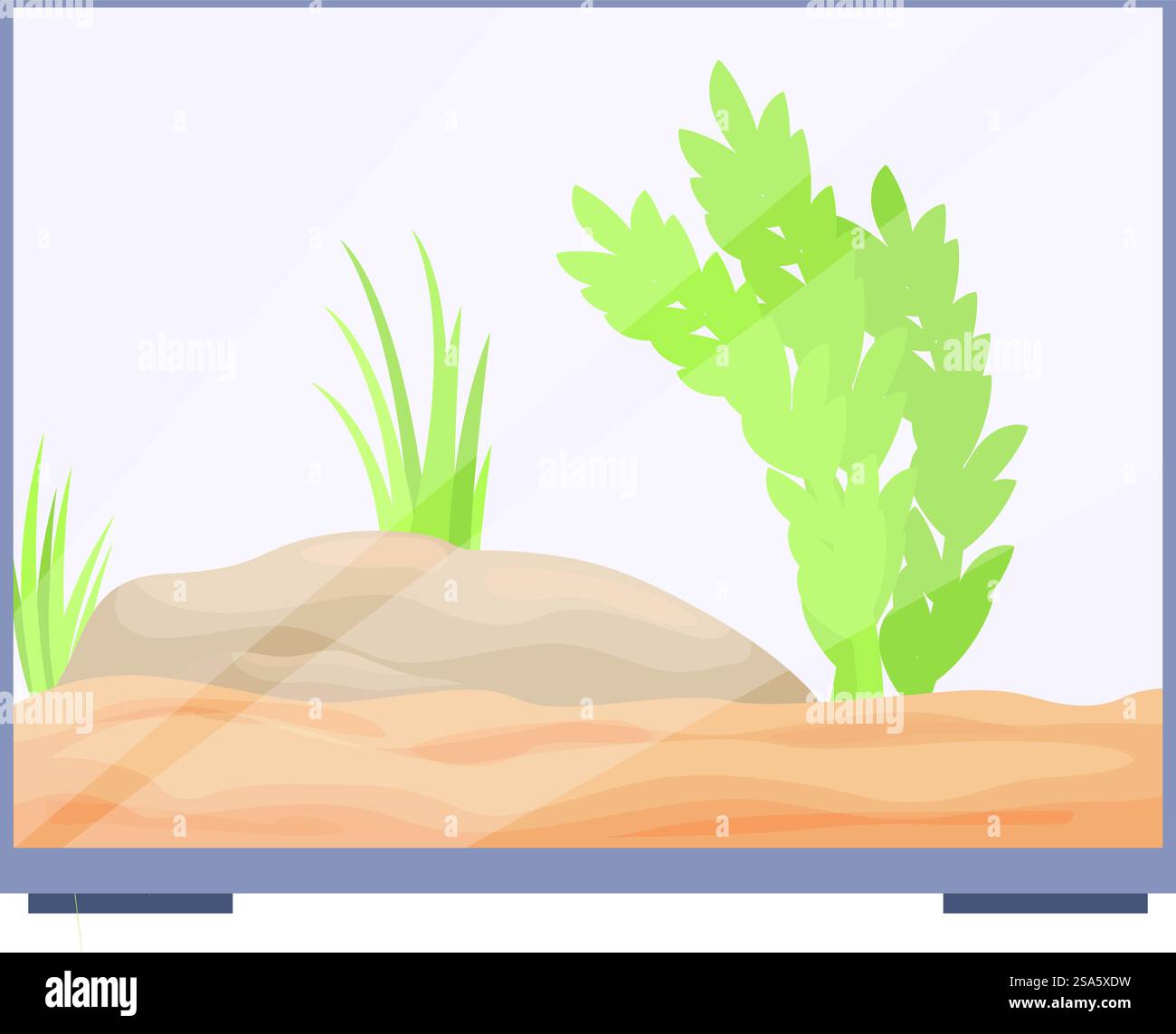 Terrarium en verre avec substrat de sable, plantes et un coin de repos pour garder les reptiles. Terrarium en verre avec sable et plantes pour l'entretien des reptiles Illustration de Vecteur