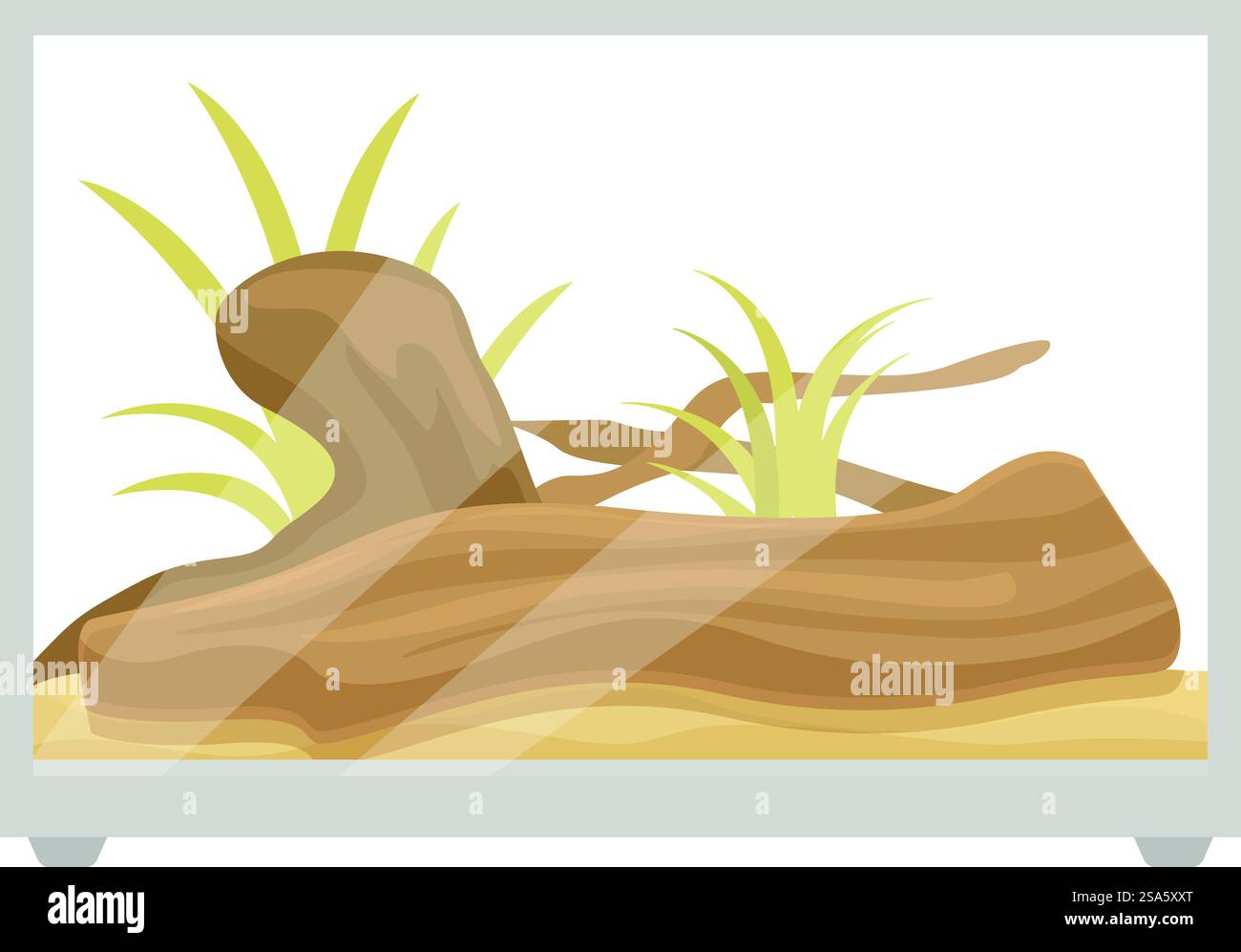 Terrarium en verre avec décoration en bois et plantes vertes pour reptiles est debout sur le sol. Terrarium en verre avec décoration en bois et plantes vertes pour reptiles est debout Illustration de Vecteur