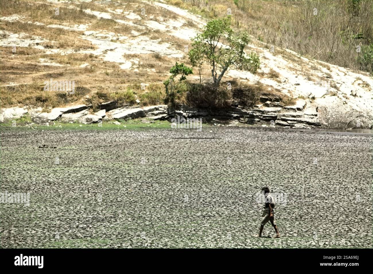 Un agriculteur marchant sur un sol fissuré à la base d'un étang de séchage pendant la saison sèche à East Sumba, East Nusa Tenggara, Indonésie. Banque D'Images