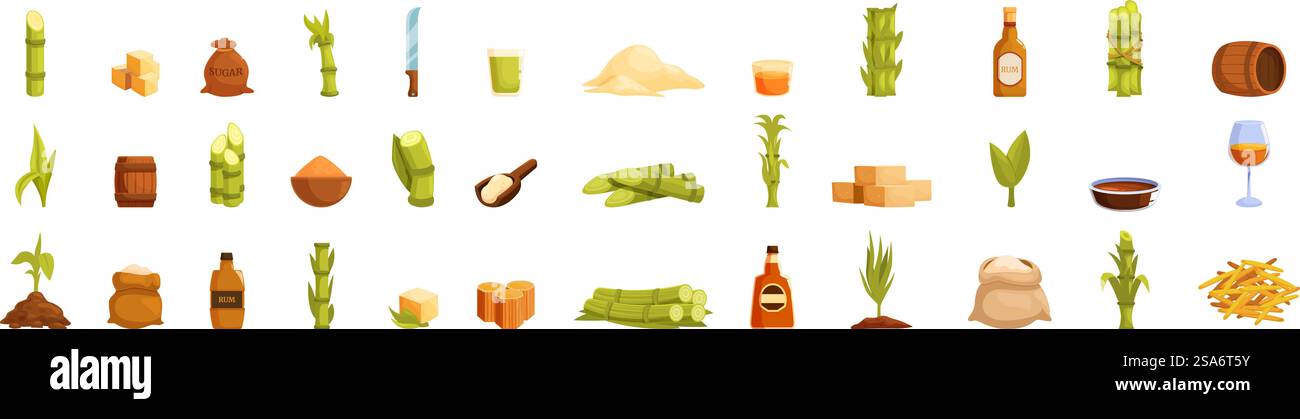Jeu d'icônes de canne à sucre. Culture de la canne à sucre et processus de production montrant de la plante au produit final avec rhum et mélasse. Jeu d'icônes de canne à sucre. Culture de la canne à sucre et procédé de production montrant de la plante au produit final Illustration de Vecteur