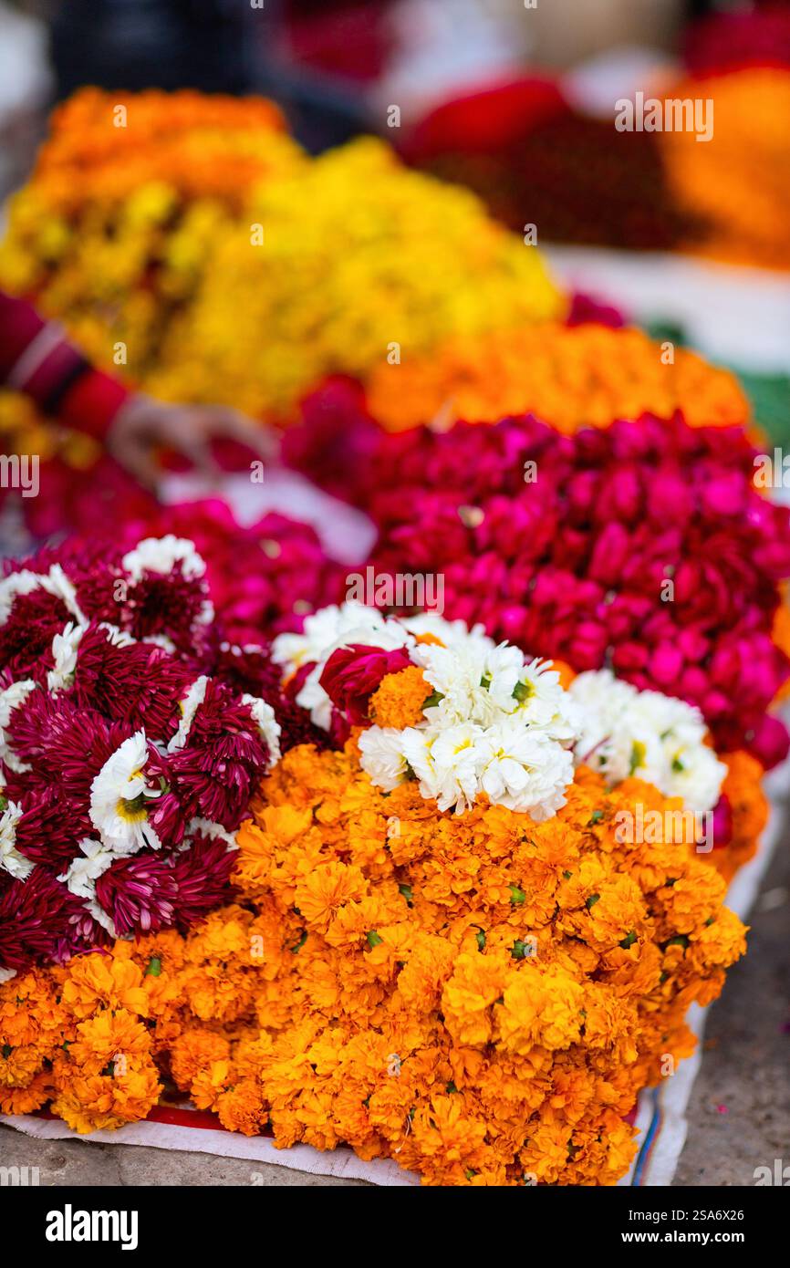 Beaucoup de boutons de fleurs de souci au marché en plein air à Jaipur Inde Banque D'Images