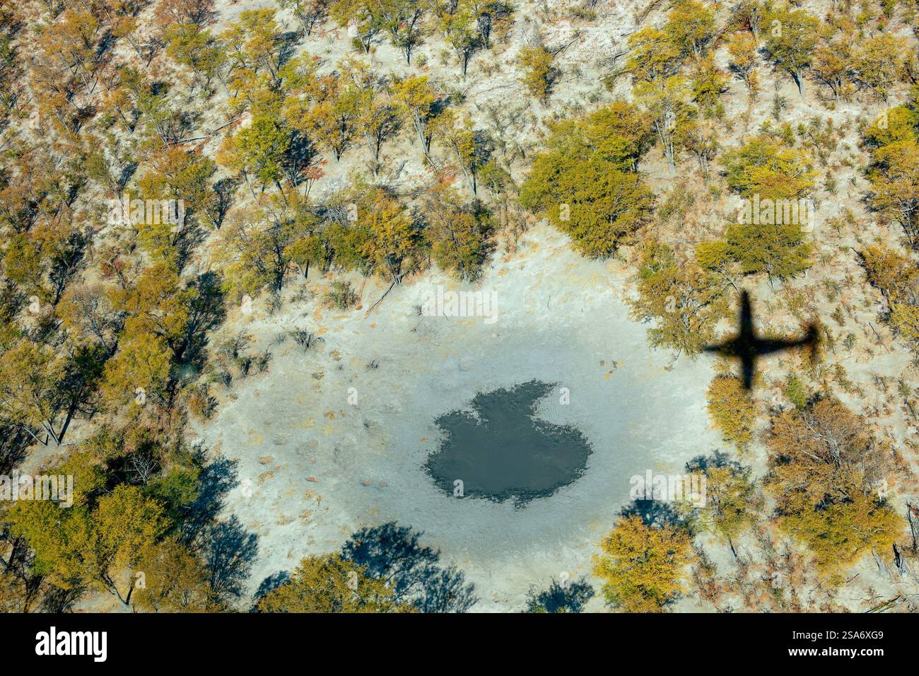 Une vue aérienne d'un paysage sec au Botswana, mettant en valeur une végétation clairsemée, un petit trou d'eau, et l'ombre d'un avion volant au-dessus, soulignant Banque D'Images