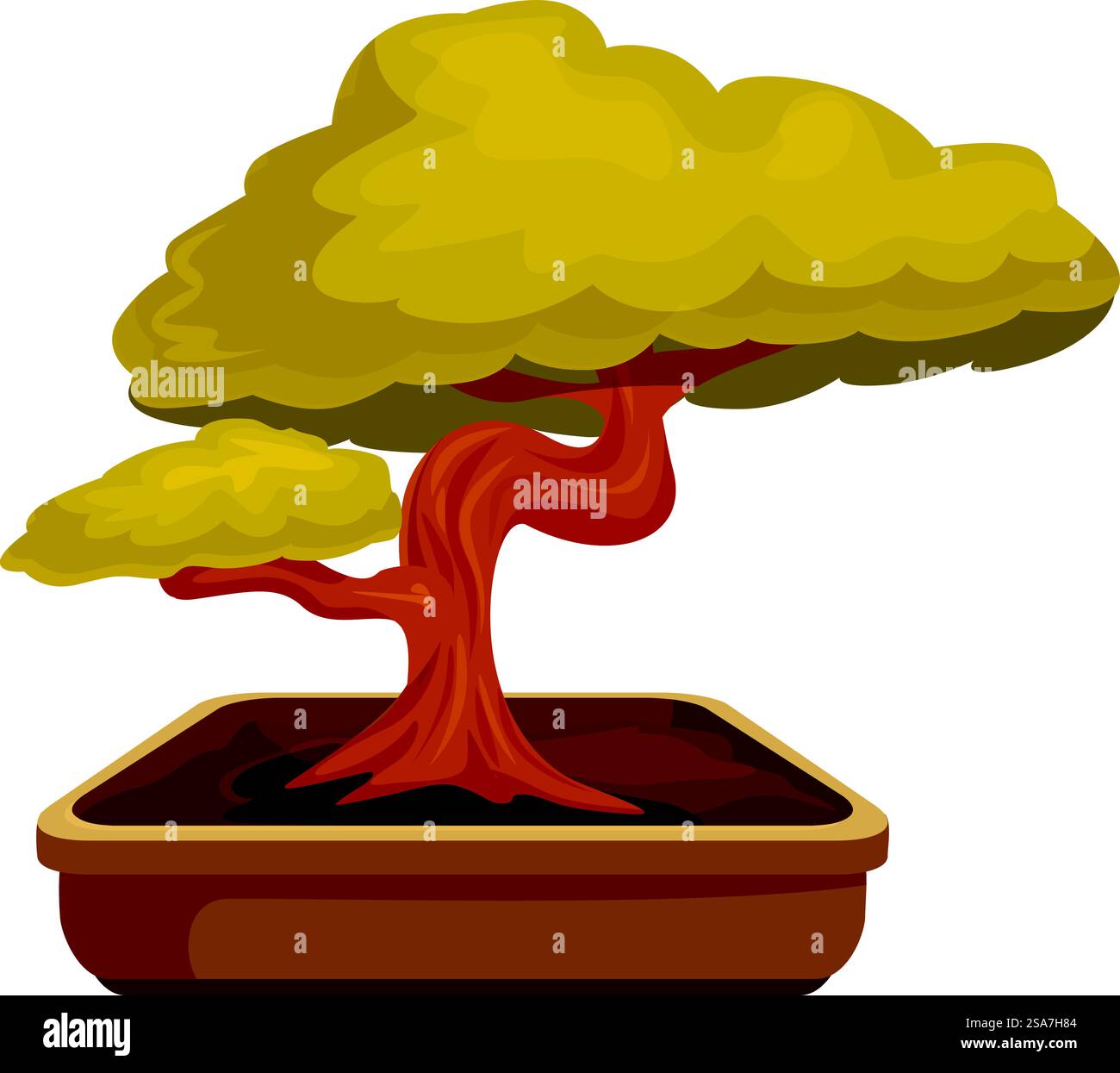 Arbre miniature décoratif avec de petites feuilles poussant dans un pot. Petit arbre bonsaï poussant dans un pot en bois Illustration de Vecteur Arbre miniature décoratif avec de petites feuilles poussant dans un pot. Petit arbre bonsaï poussant dans un pot en bois Illustration de Vecteur