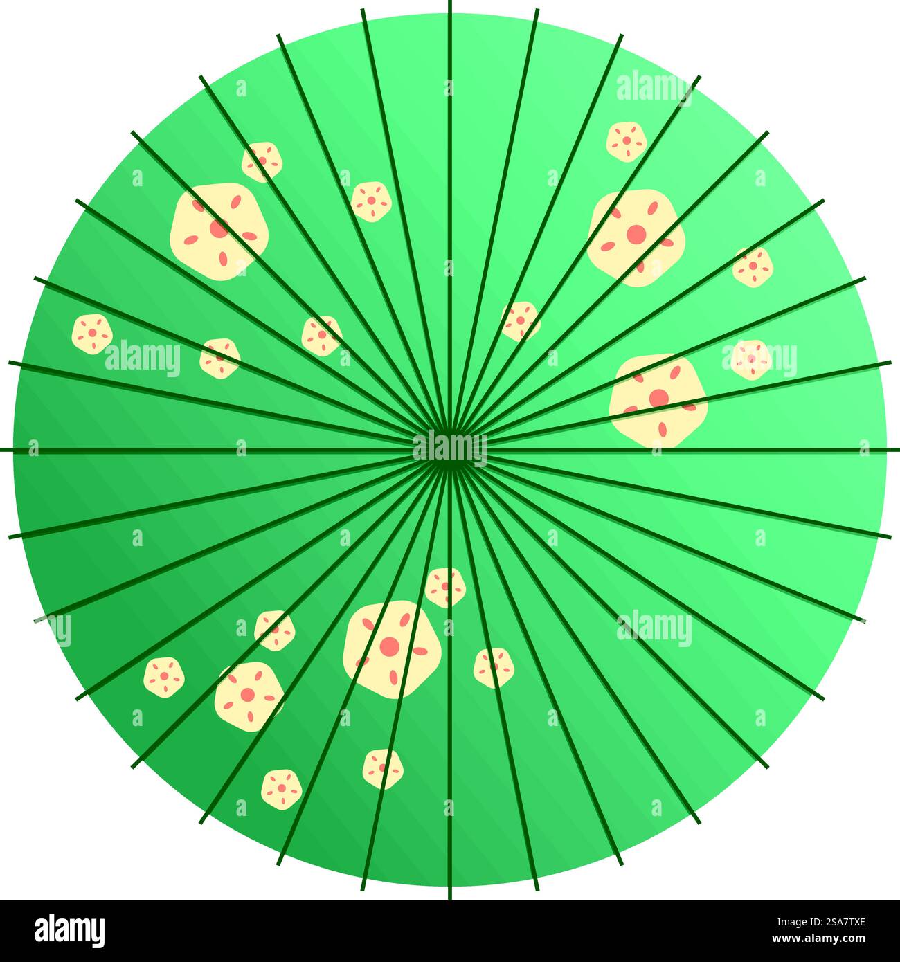 Parasol japonais traditionnel avec motif floral représentant des fleurs de sakura. Beau parasol japonais vert décoré de fleurs de sakura Illustration de Vecteur