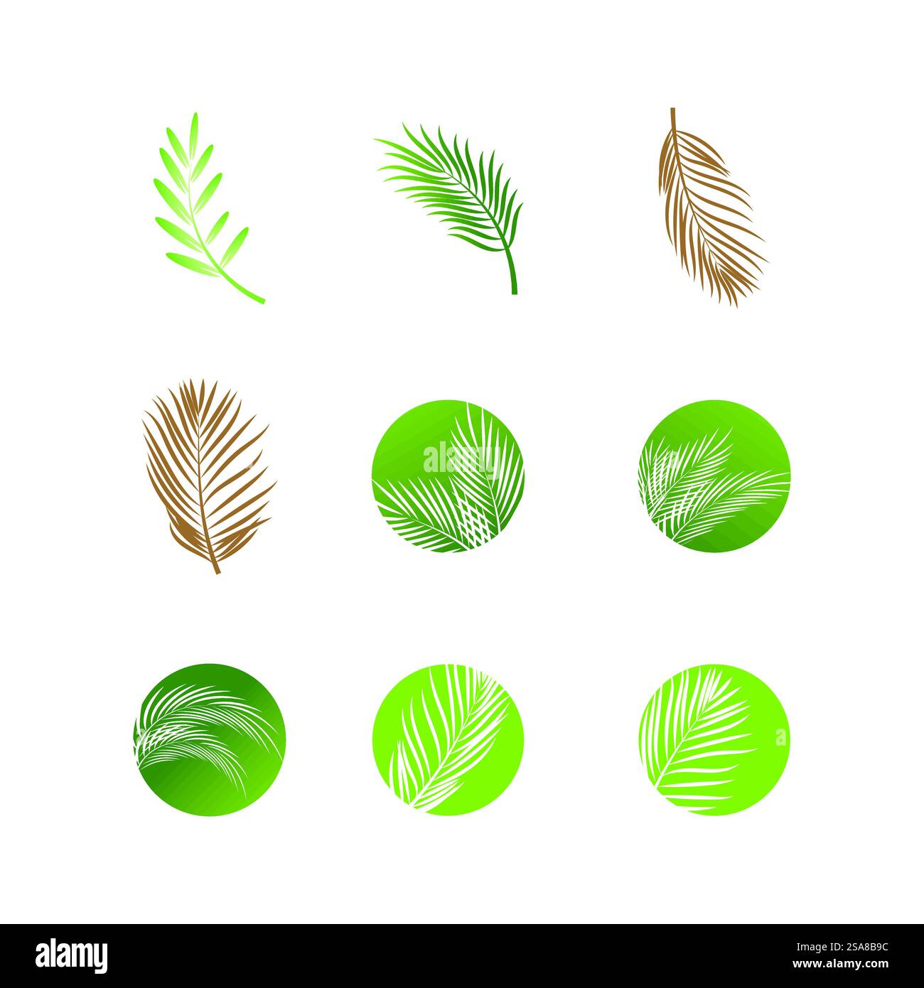 Symbole et conception de modèle vectoriel de logo de palme de feuille Illustration de Vecteur