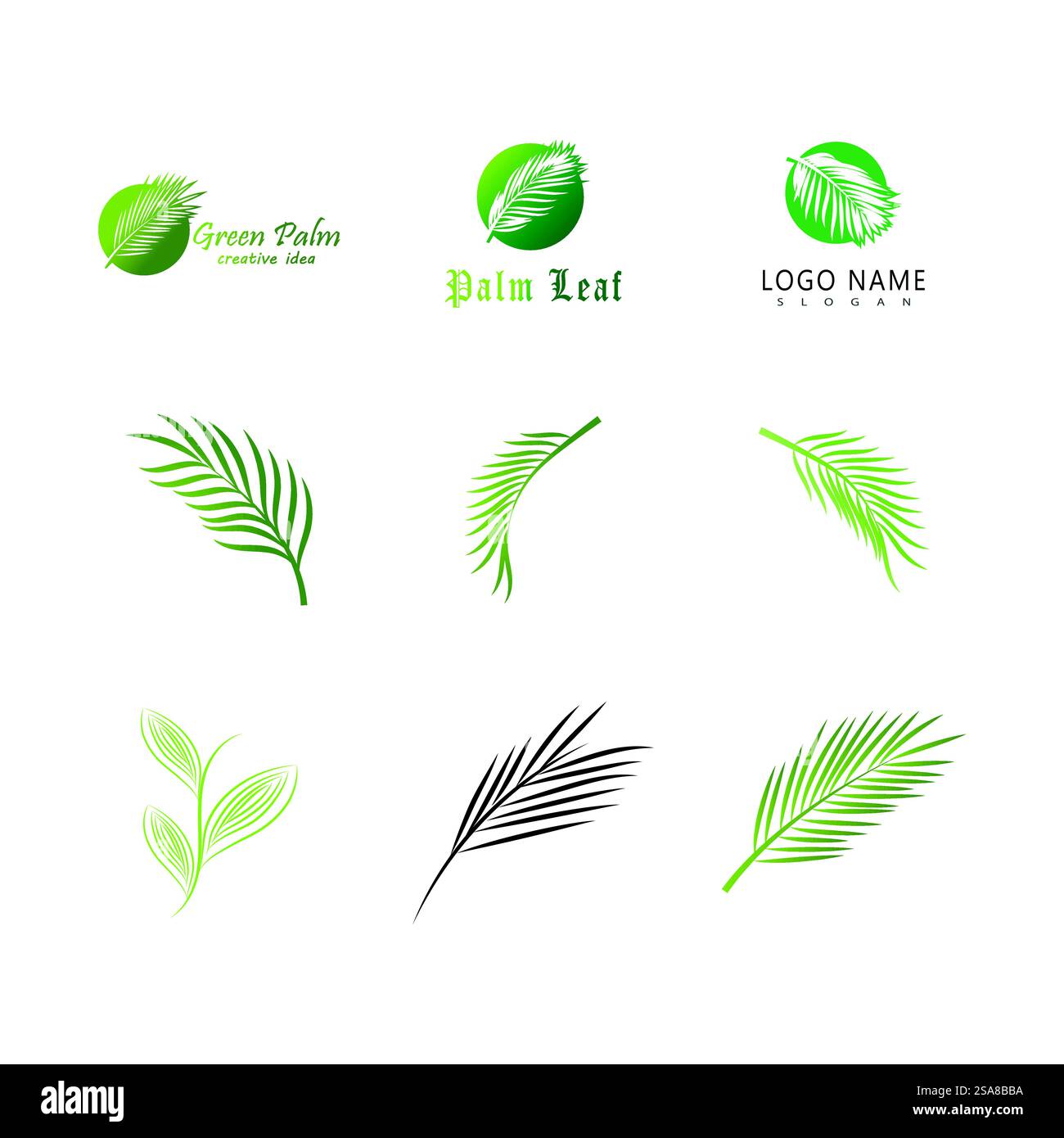 Symbole et conception de modèle vectoriel de logo de palme de feuille Illustration de Vecteur