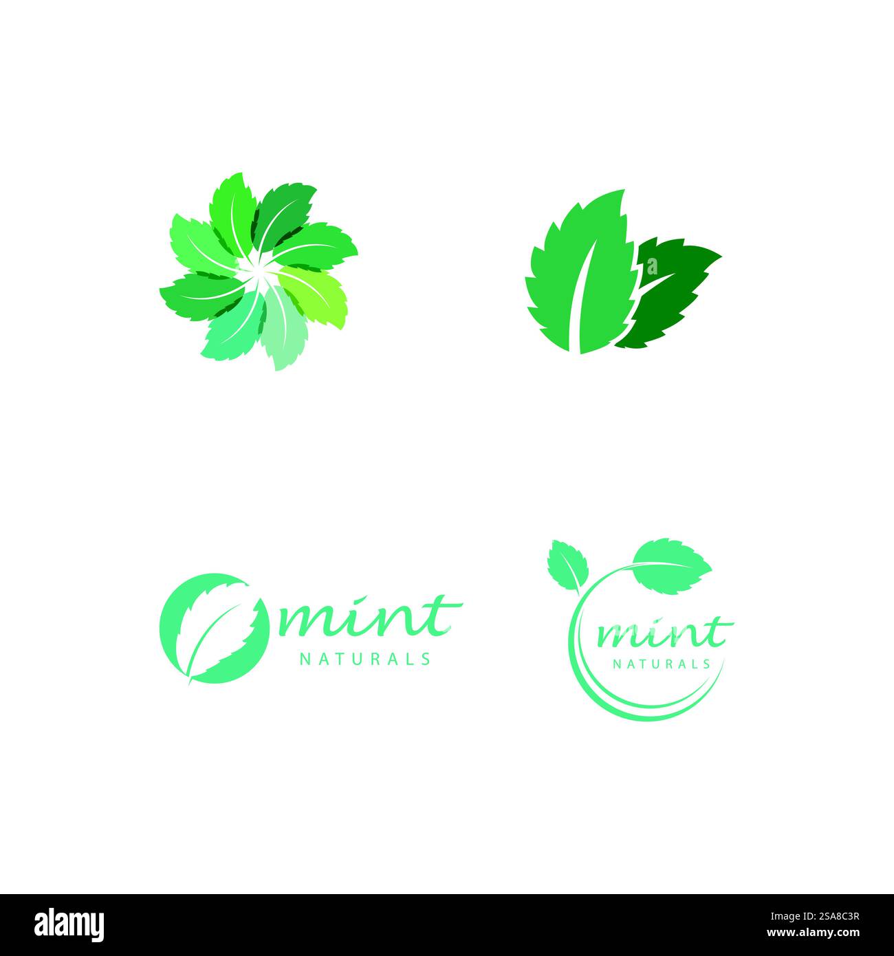 Menthe feuilles de menthe plat modèle d'icône de couleur vectorielle conception d'illustration Illustration de Vecteur