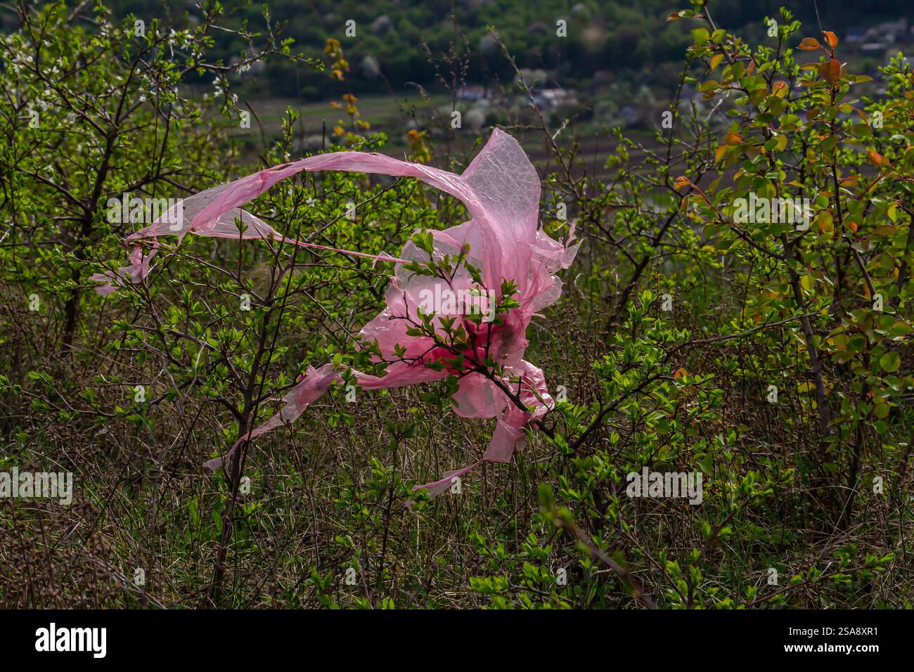 Un sac en plastique rose vif bat dans le vent, enchevêtré dans des buissons verts sur fond de collines ondulantes par temps clair, soulignant l'environnement Banque D'Images