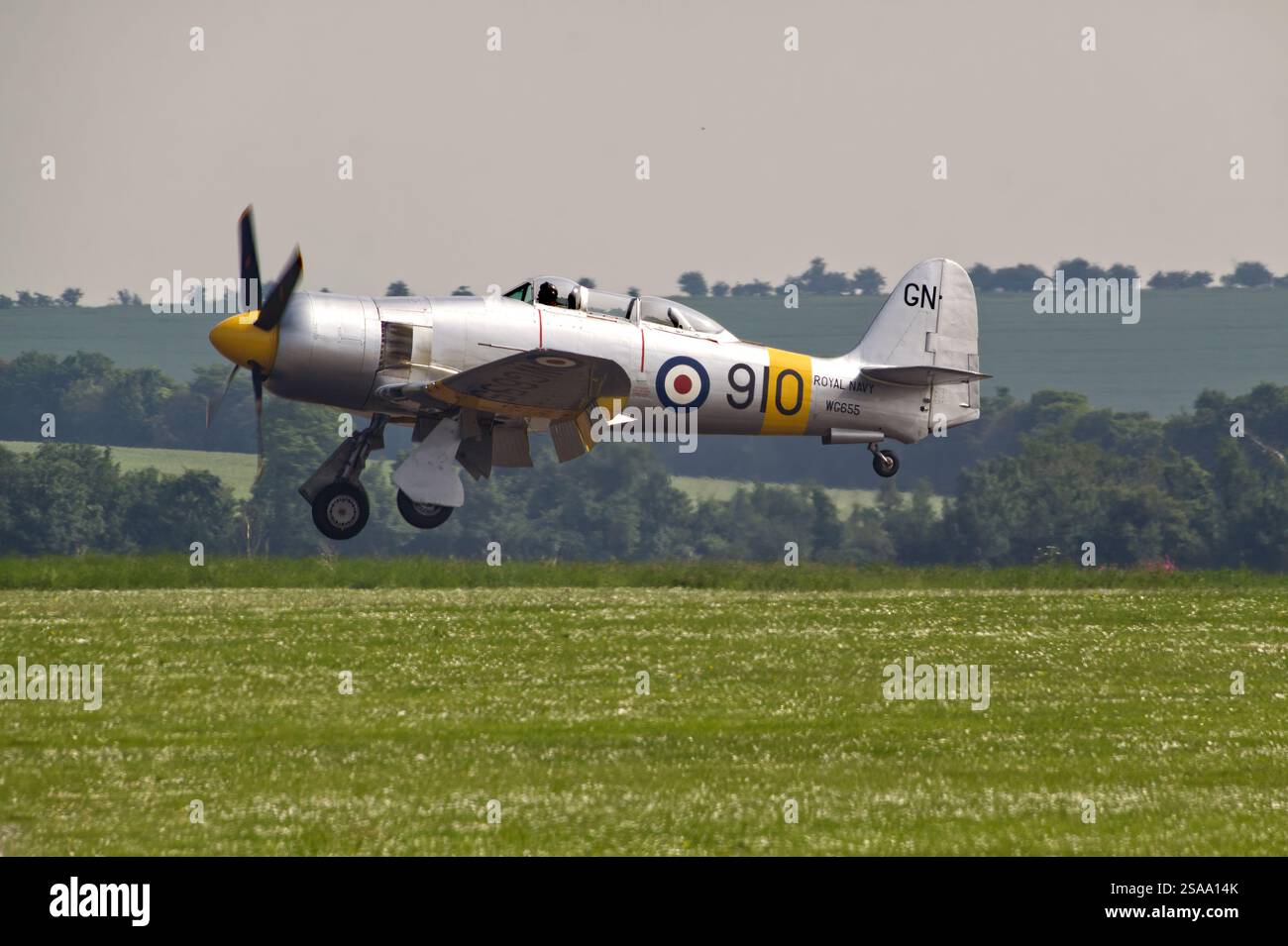 Hawker Sea Fury T.20, WG-655, en vol mais atterrissage Banque D'Images