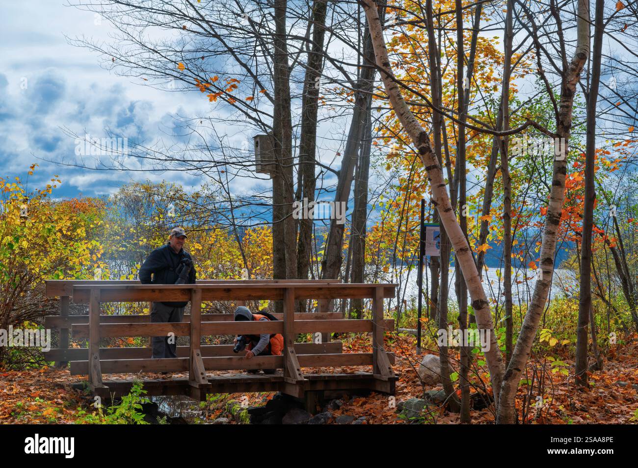 Automne dans un parc et deux personnes prennent des photos Banque D'Images