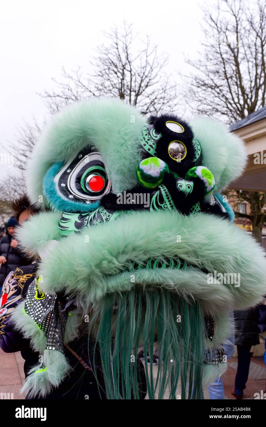 Poissy, France, 01.19.2025. Gros plan d'une tête de dragon. Célébrations pour le nouvel an chinois à venir Banque D'Images