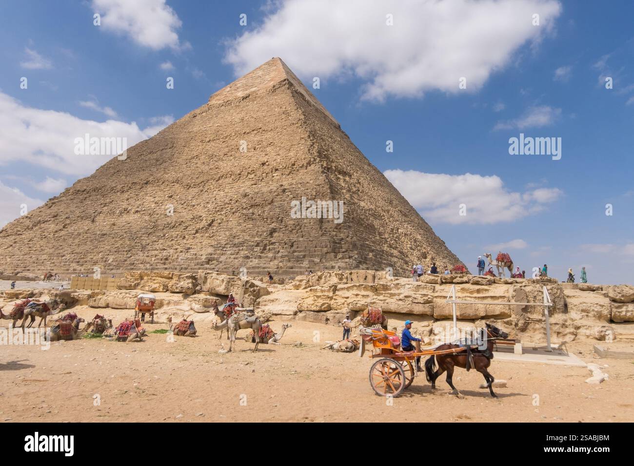 Calèche tirée par des chevaux et chameaux à côté de la pyramide de Khafre sur l'esplanade de Gizeh Banque D'Images
