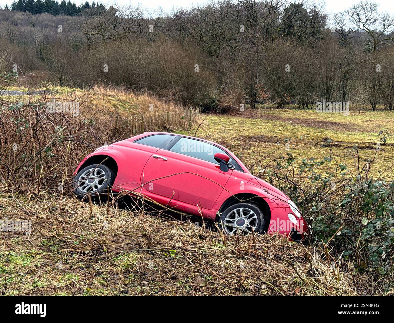 Pontyclun, pays de Galles, Royaume-Uni - 29 janvier 2025 : petite voiture rouge sur le côté dans les buissons après s'être écrasée sur une route. Personne. Banque D'Images