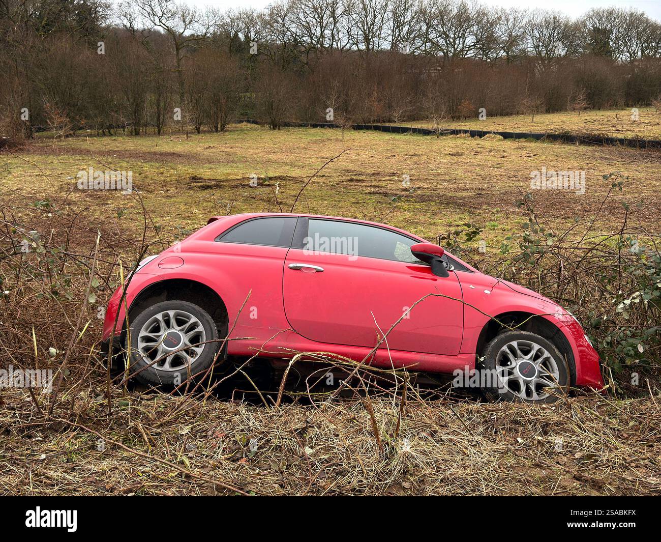 Pontyclun, pays de Galles, Royaume-Uni - 29 janvier 2025 : petite voiture rouge sur le côté dans les buissons après s'être écrasée sur une route. Personne. Banque D'Images